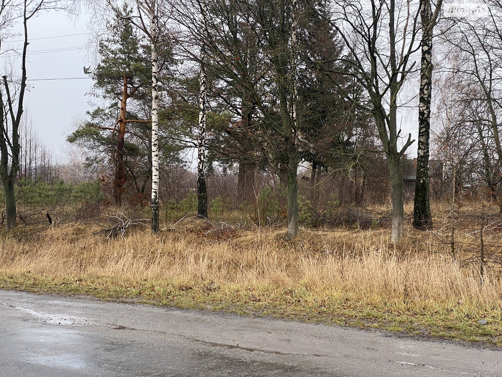 Земельна ділянка комерційного призначення в Горбанівці, площа 65 соток фото 1 Земельна ділянка комерційного призначення в Горбанівці, площа 65 соток фото 1