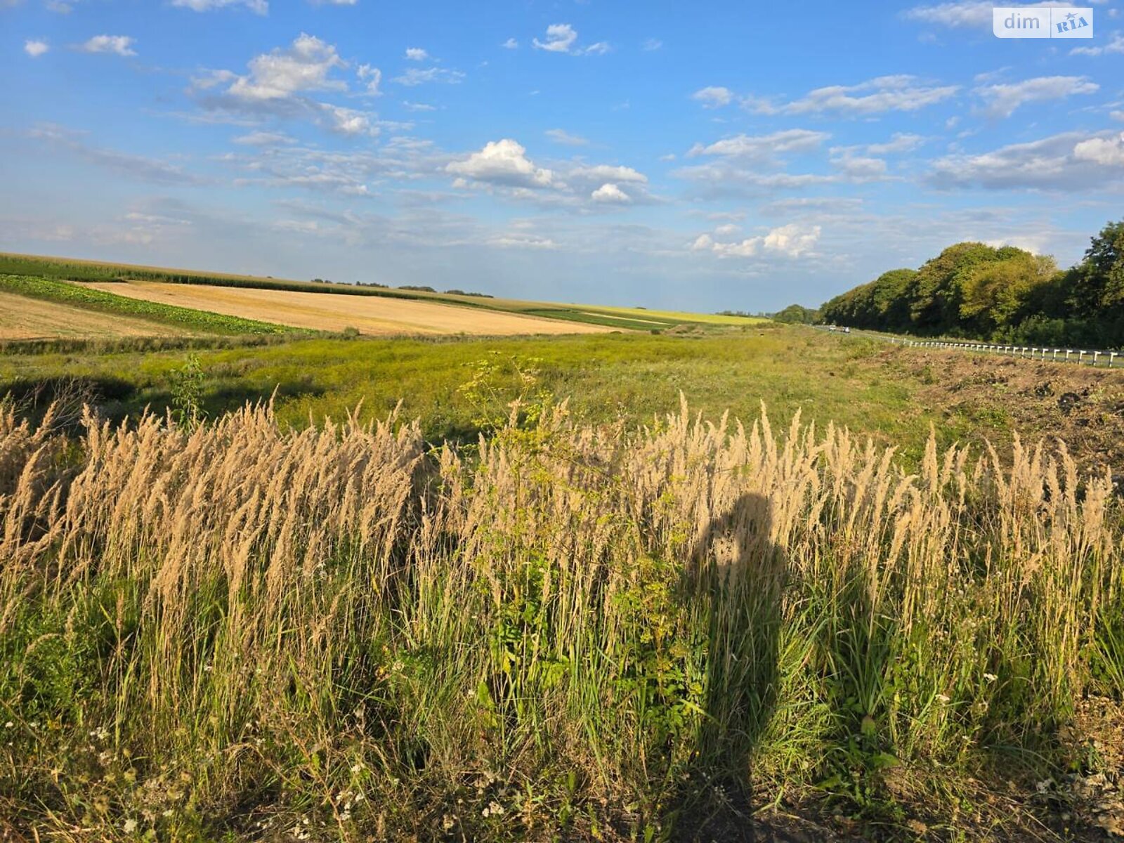Земельна ділянка комерційного призначення в Городищі, площа 3.18 Га фото 1 Земельна ділянка комерційного призначення в Городищі, площа 3.18 Га фото 1