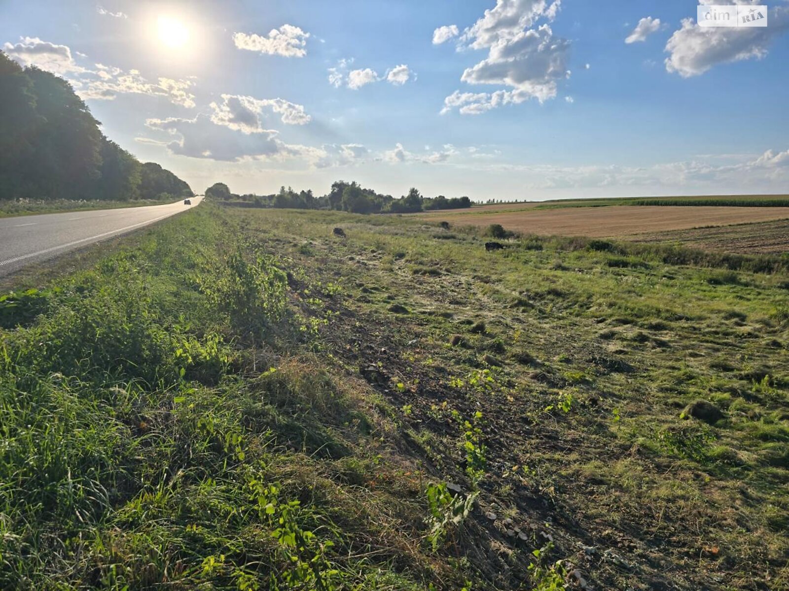 Земельна ділянка комерційного призначення в Городищі, площа 3.18 Га фото 1 Земельна ділянка комерційного призначення в Городищі, площа 3.18 Га фото 1