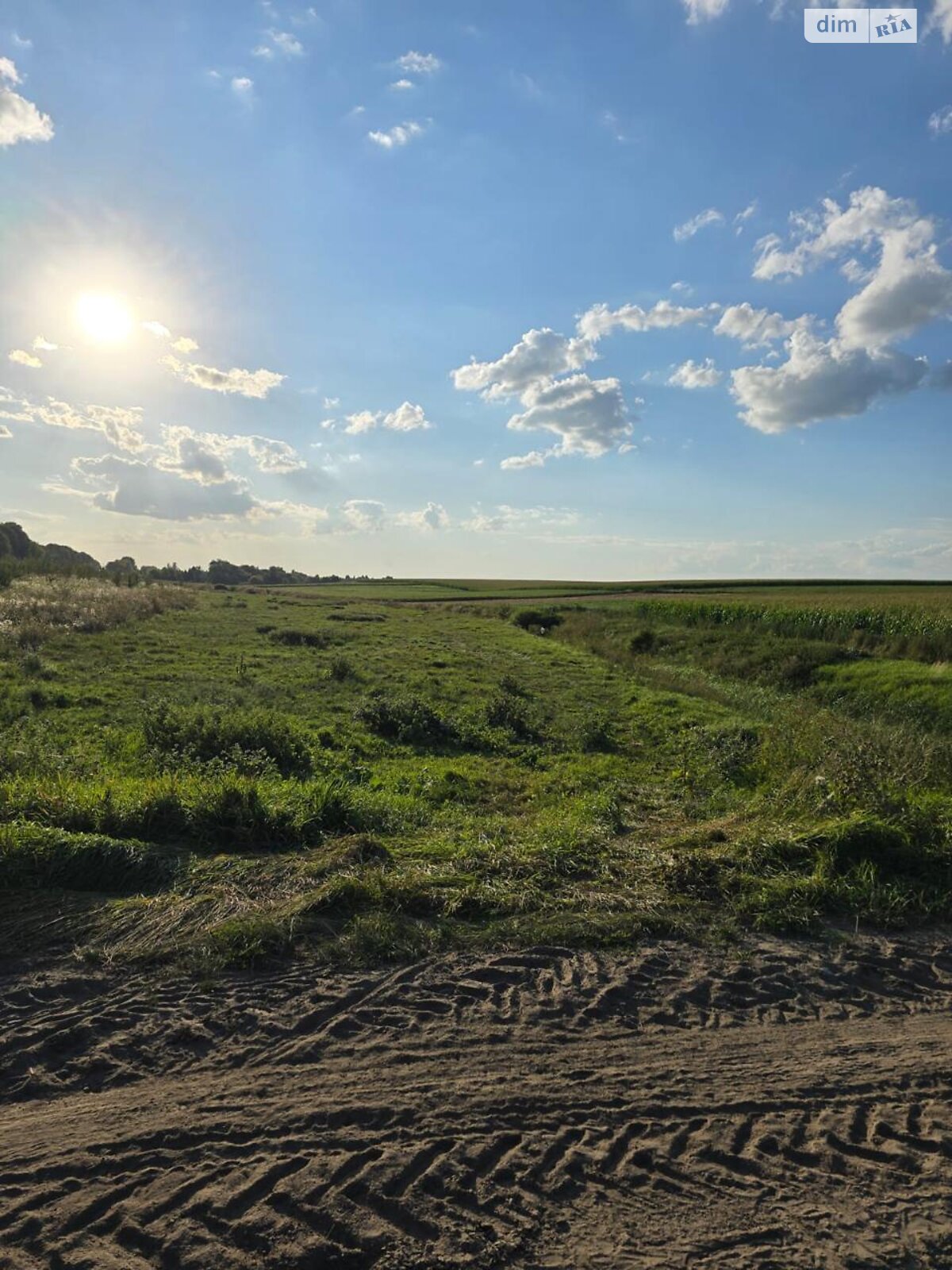 Земельна ділянка комерційного призначення в Городищі, площа 3.18 Га фото 1 Земельна ділянка комерційного призначення в Городищі, площа 3.18 Га фото 1