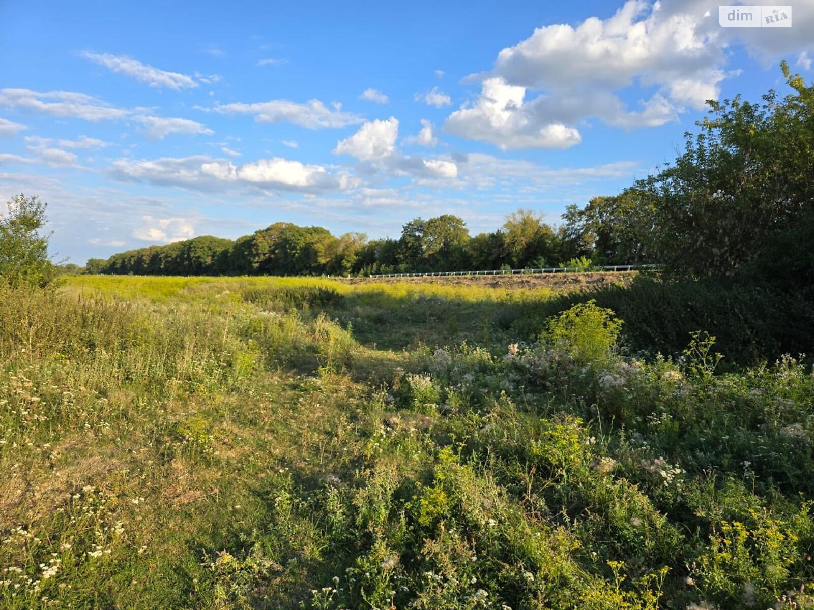 Земельна ділянка комерційного призначення в Городищі, площа 3.18 Га фото 1 Земельна ділянка комерційного призначення в Городищі, площа 3.18 Га фото 1