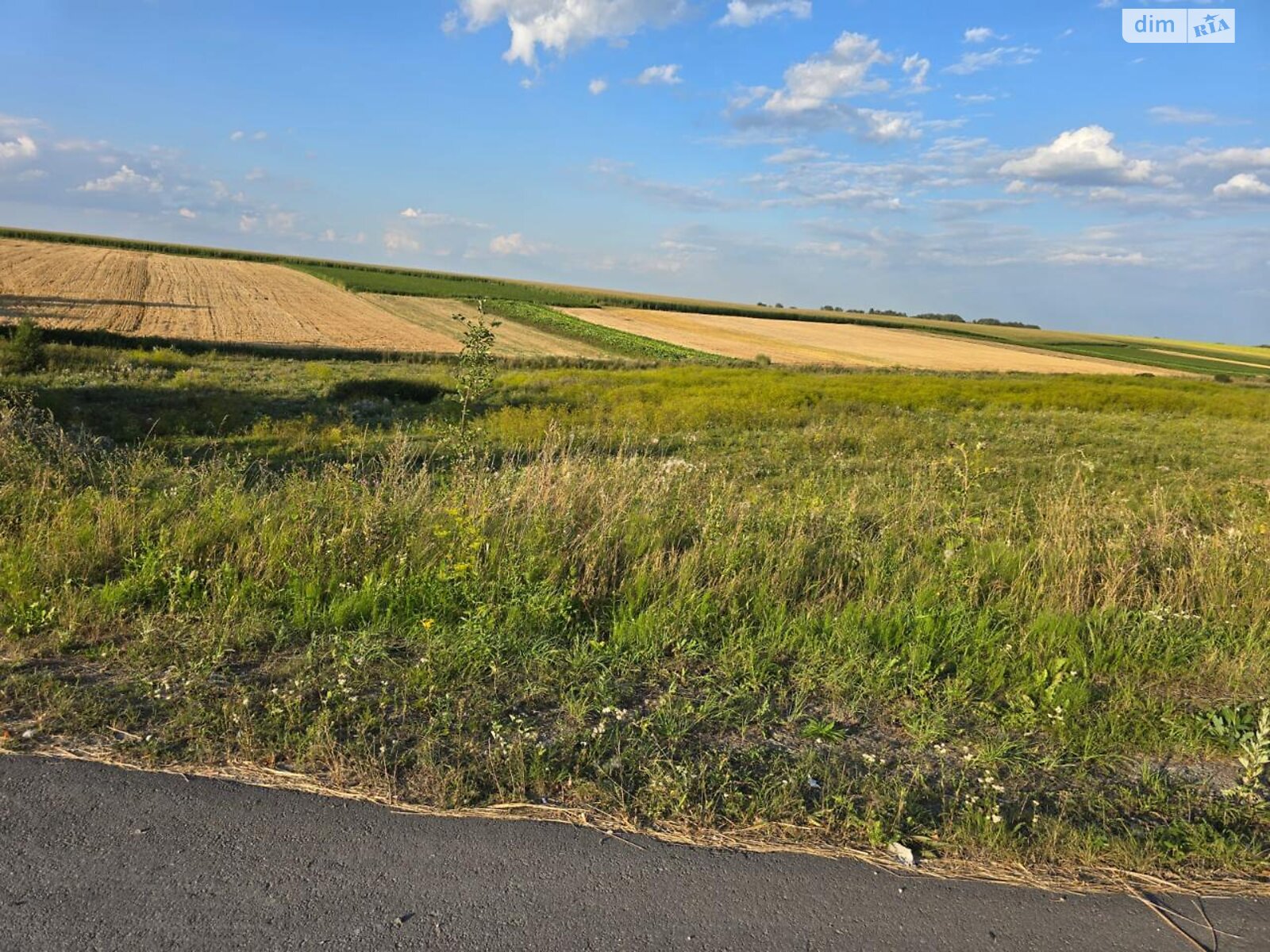 Земельна ділянка комерційного призначення в Городищі, площа 3.18 Га фото 1 Земельна ділянка комерційного призначення в Городищі, площа 3.18 Га фото 1
