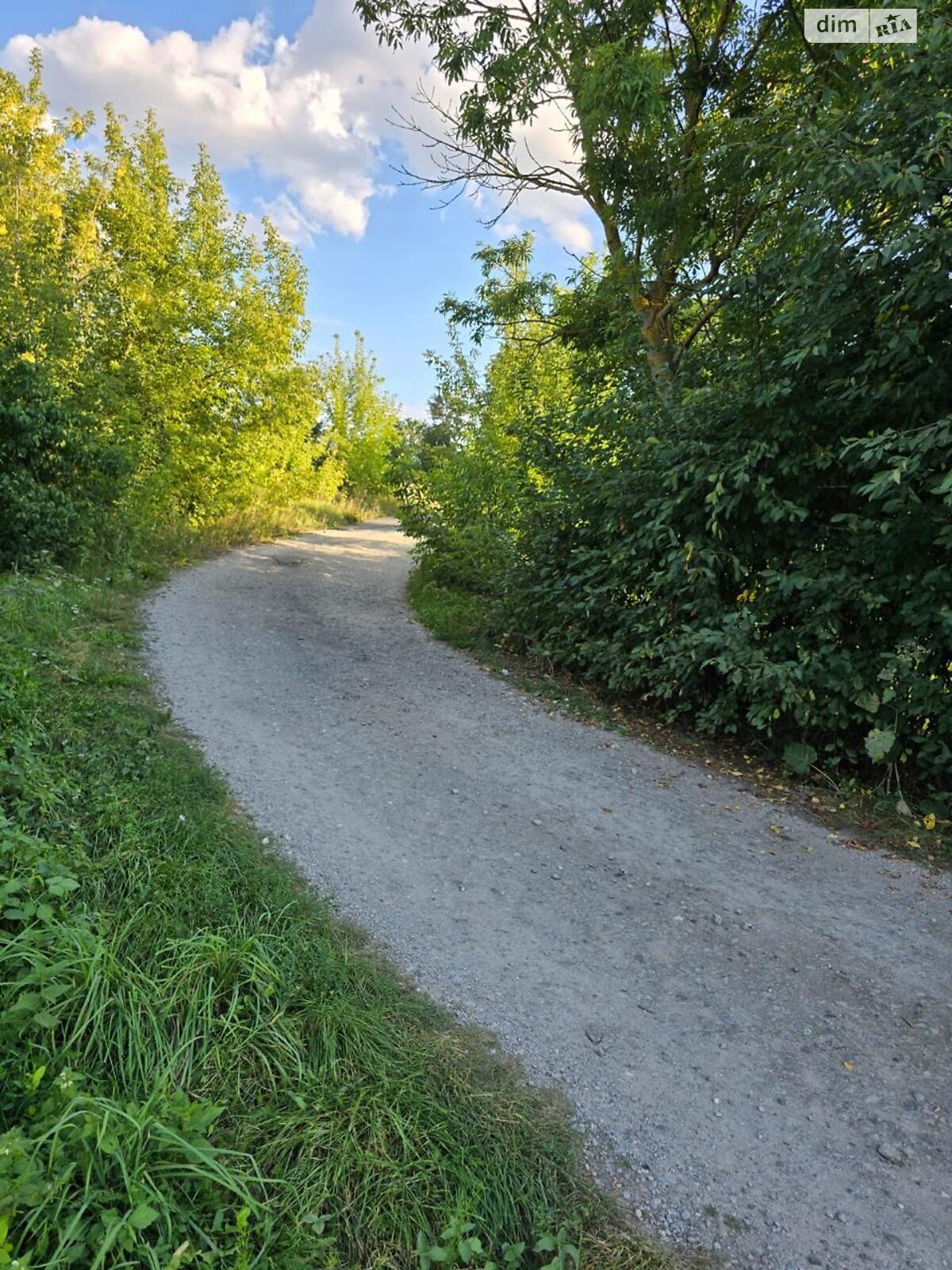 Земельна ділянка комерційного призначення в Городищі, площа 3.18 Га фото 1 Земельна ділянка комерційного призначення в Городищі, площа 3.18 Га фото 1