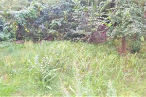 Земельный участок коммерческого назначения в Городище, площадь 0.015 Га фото 2