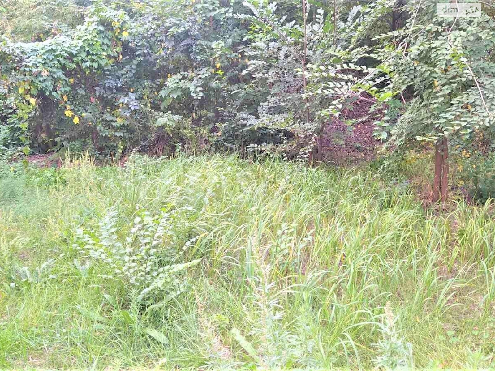 Земельный участок коммерческого назначения в Городище, площадь 0.015 Га фото 1