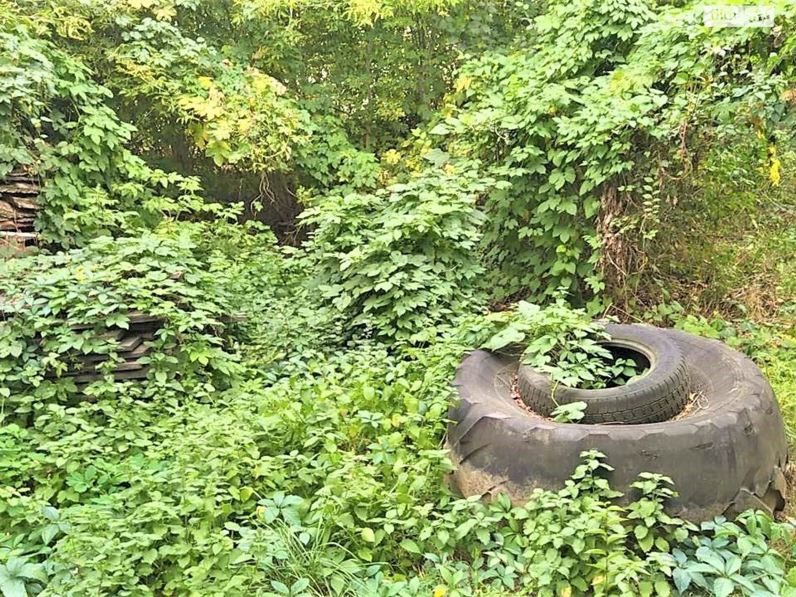 Земельный участок коммерческого назначения в Городище, площадь 0.015 Га фото 1