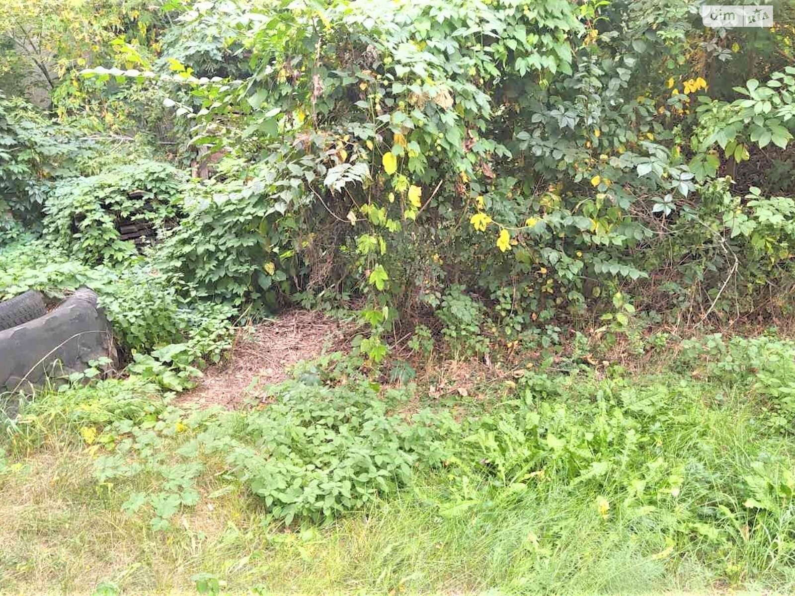 Земельный участок коммерческого назначения в Городище, площадь 0.015 Га фото 1