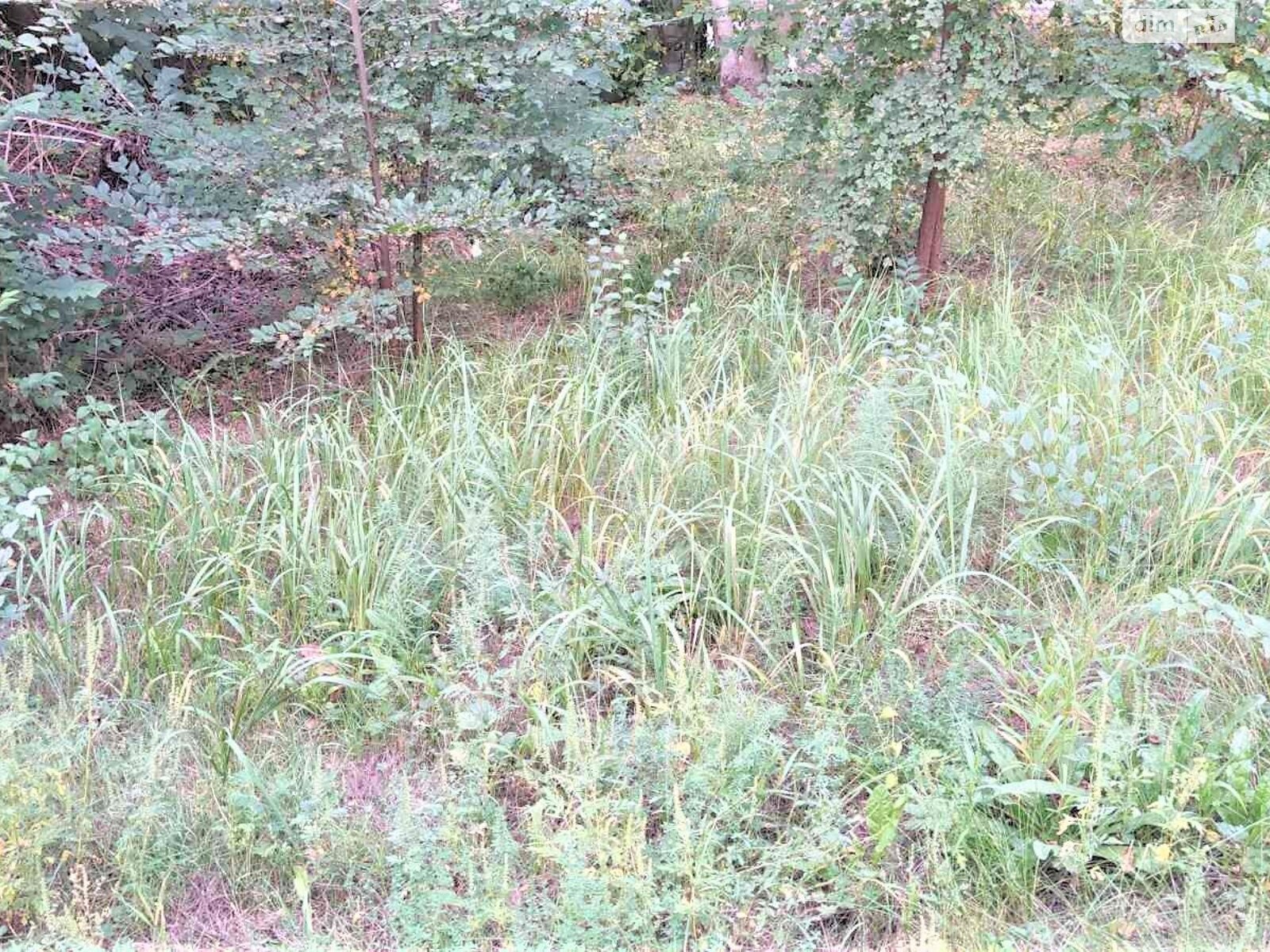 Земельный участок коммерческого назначения в Городище, площадь 0.015 Га фото 1