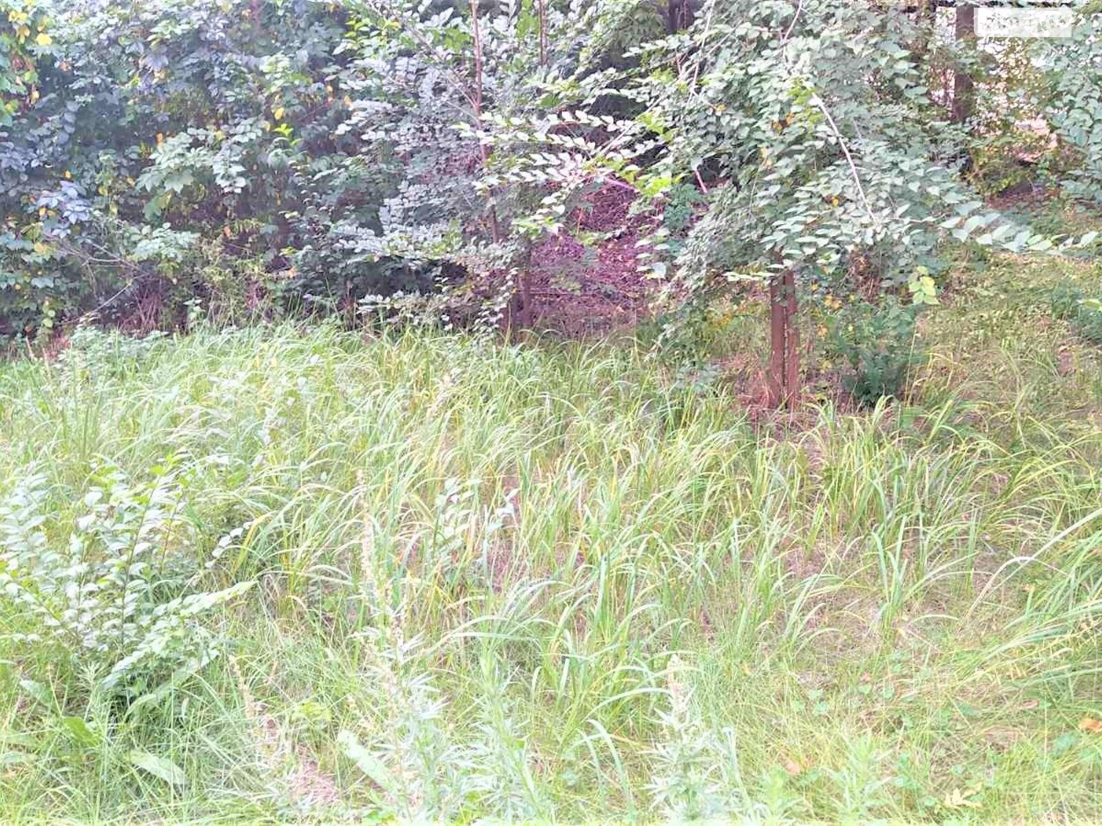 Земельный участок коммерческого назначения в Городище, площадь 0.015 Га фото 1