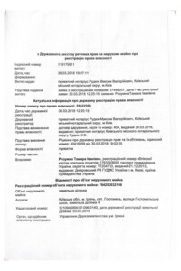 Земельна ділянка комерційного призначення в Гостомелі, площа 15 соток фото 2