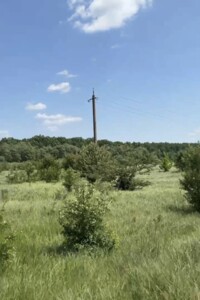 Земельна ділянка комерційного призначення в Гущинцях, площа 6 Га фото 2