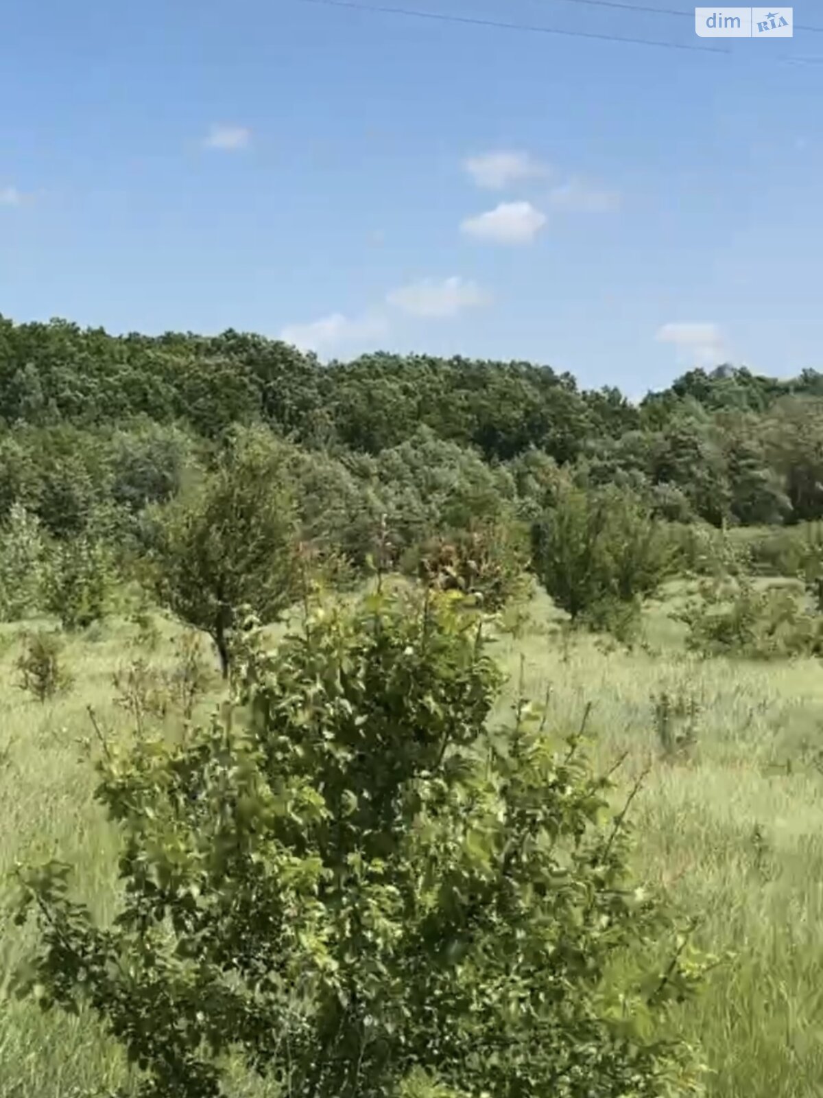 Земельна ділянка комерційного призначення в Гущинцях, площа 6 Га фото 1 Земельна ділянка комерційного призначення в Гущинцях, площа 6 Га фото 1