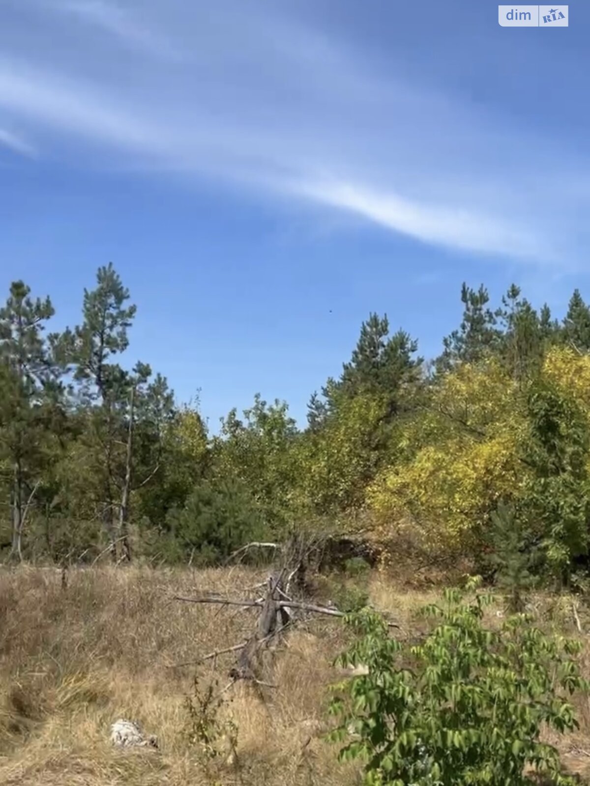 Земельна ділянка комерційного призначення в Гущинцях, площа 6 Га фото 1 Земельна ділянка комерційного призначення в Гущинцях, площа 6 Га фото 1