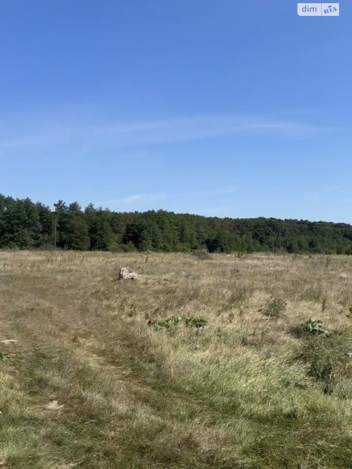 Земельна ділянка комерційного призначення в Гущинцях, площа 6 Га фото 1 Земельна ділянка комерційного призначення в Гущинцях, площа 6 Га фото 1