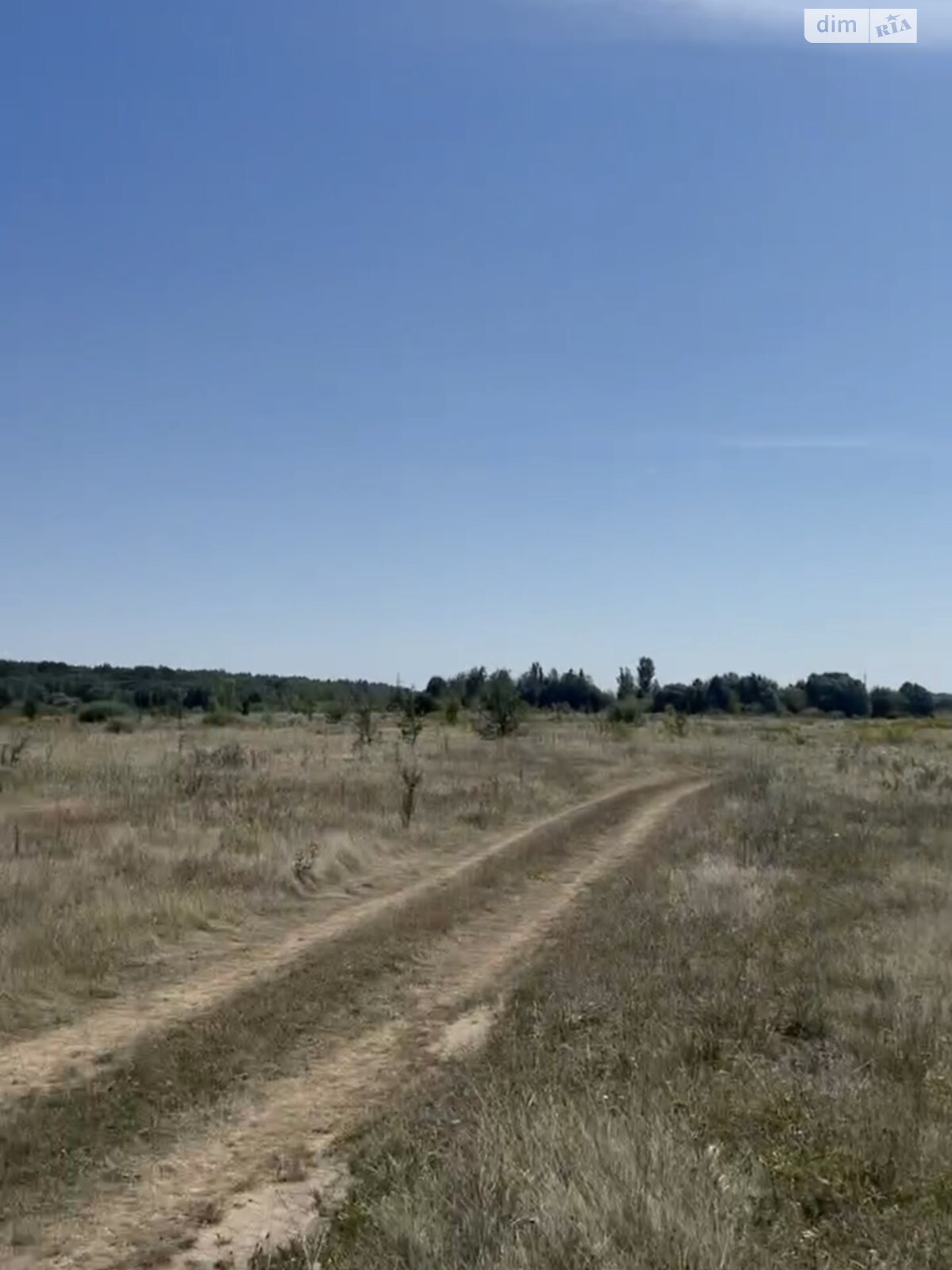 Земельна ділянка комерційного призначення в Гущинцях, площа 6 Га фото 1 Земельна ділянка комерційного призначення в Гущинцях, площа 6 Га фото 1