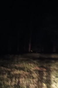 Земля комерційного призначення в Харкові, район Слобідський, площа 22 сотки фото 2