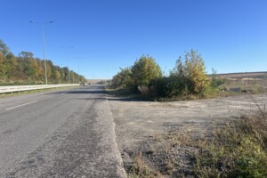 Земельна ділянка комерційного призначення в Пашківцях, площа 40 соток фото 2