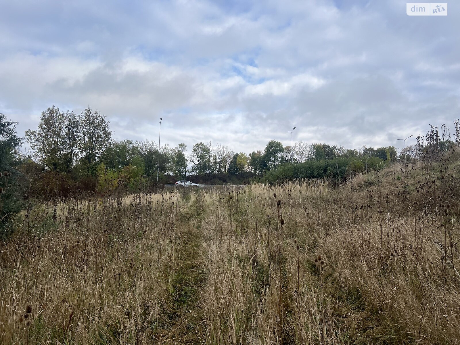 Земельна ділянка комерційного призначення в Пашківцях, площа 40 соток фото 1 Земельна ділянка комерційного призначення в Пашківцях, площа 40 соток фото 1