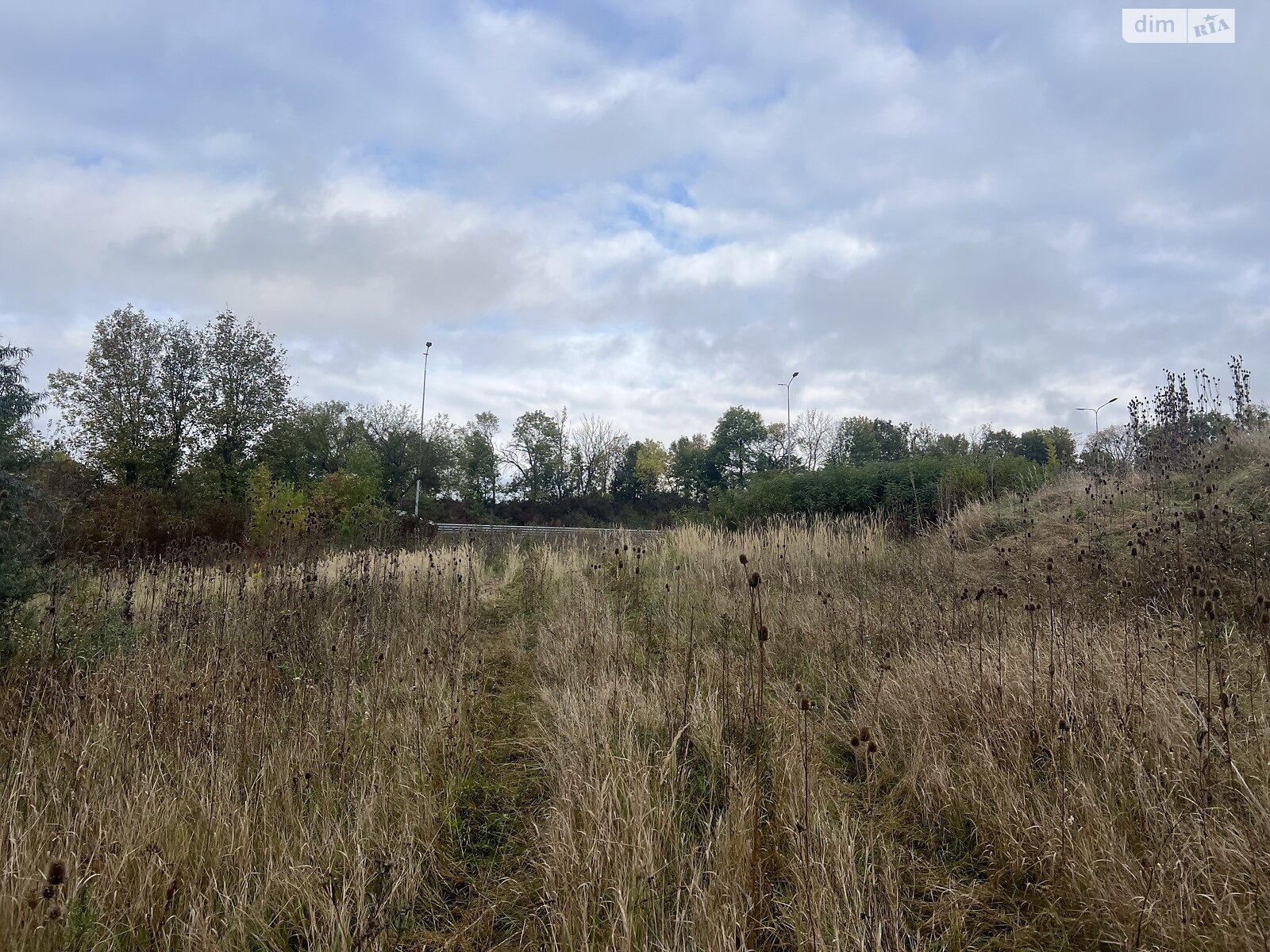 Земельна ділянка комерційного призначення в Пашківцях, площа 40 соток фото 1 Земельна ділянка комерційного призначення в Пашківцях, площа 40 соток фото 1