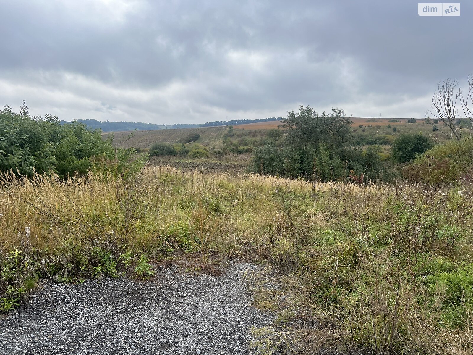Земельна ділянка комерційного призначення в Пашківцях, площа 40 соток фото 1 Земельна ділянка комерційного призначення в Пашківцях, площа 40 соток фото 1