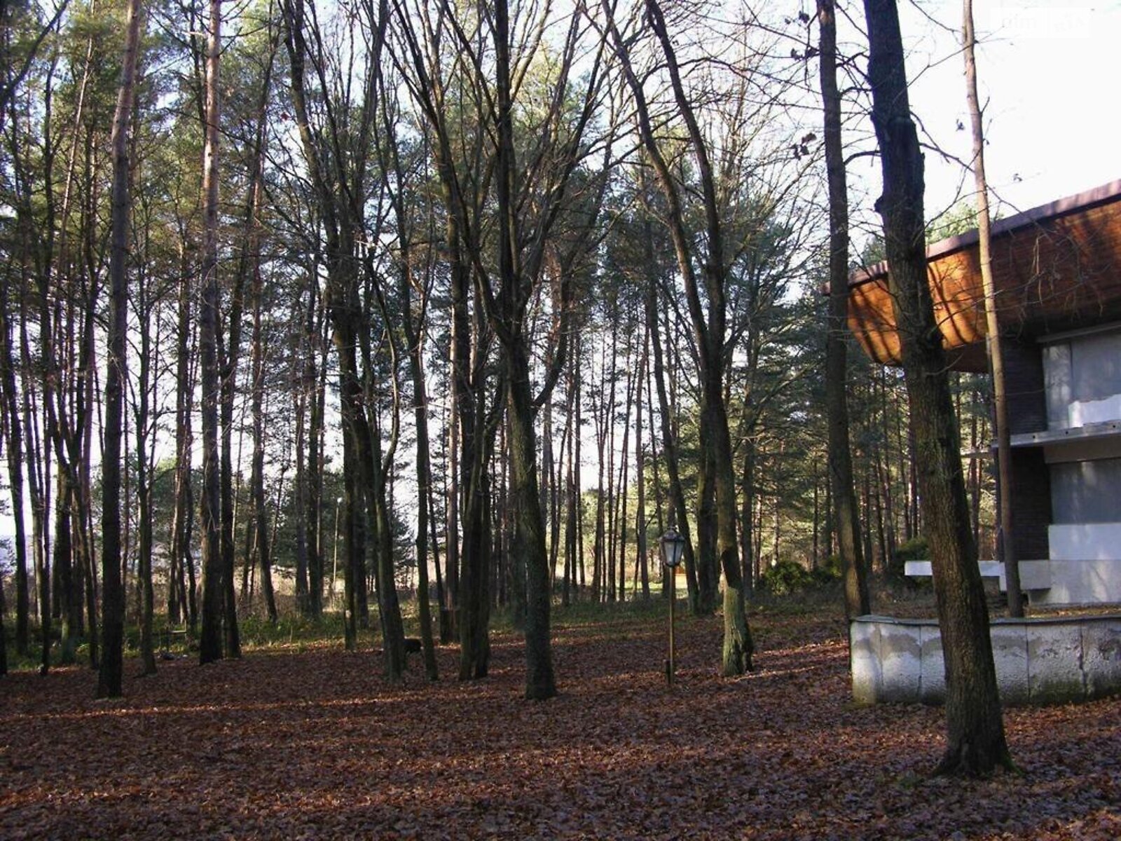 Земельна ділянка комерційного призначення в Івано-Франково, площа 7 Га фото 1 Земельна ділянка комерційного призначення в Івано-Франково, площа 7 Га фото 1
