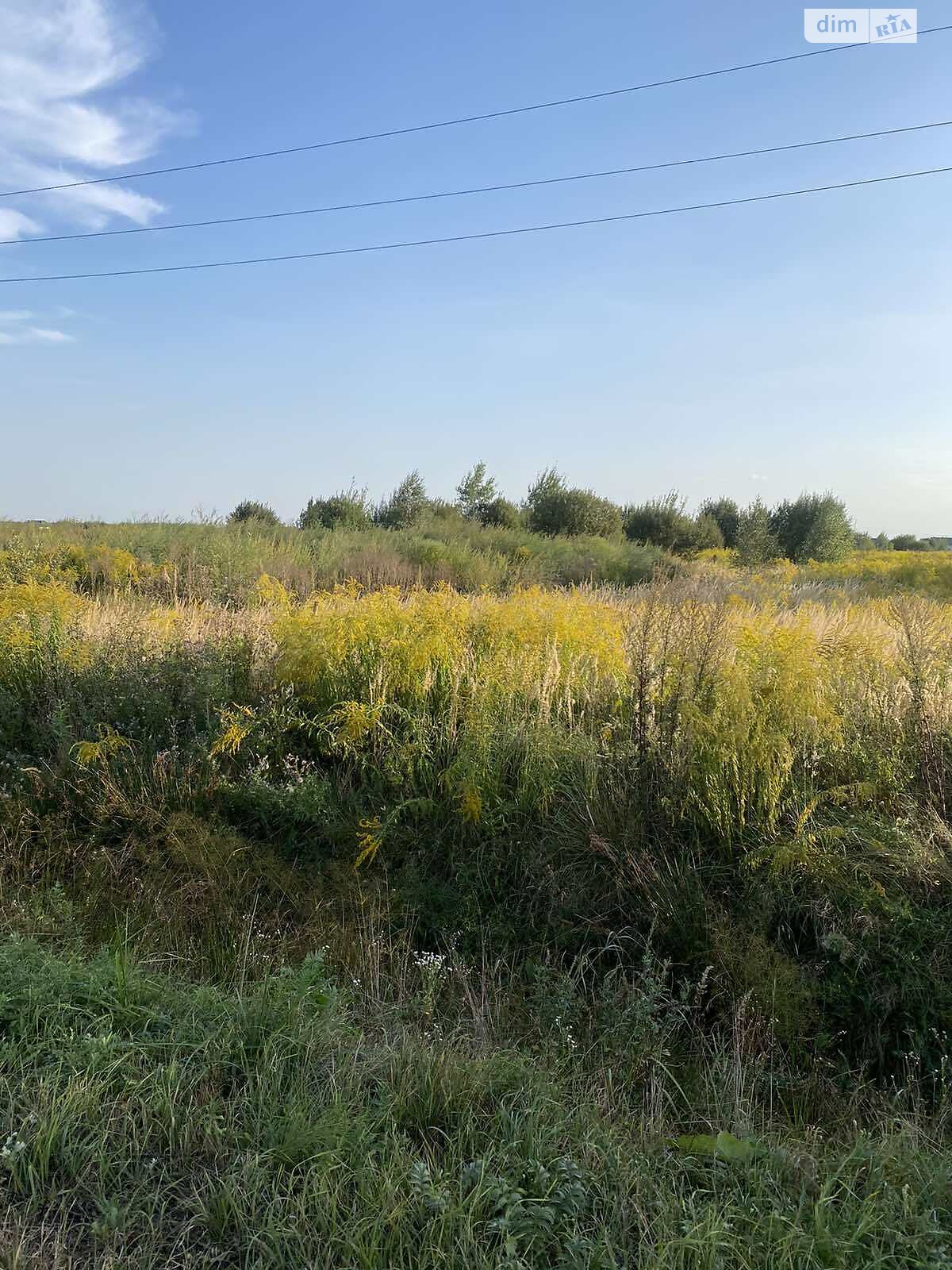 Земельна ділянка комерційного призначення в Чукалівці, площа 30 соток фото 1