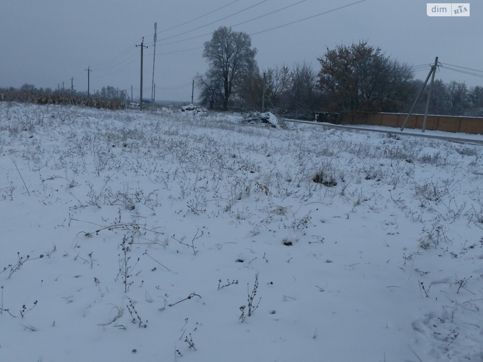 Земельна ділянка комерційного призначення в Іванівці, площа 1 Га фото 1