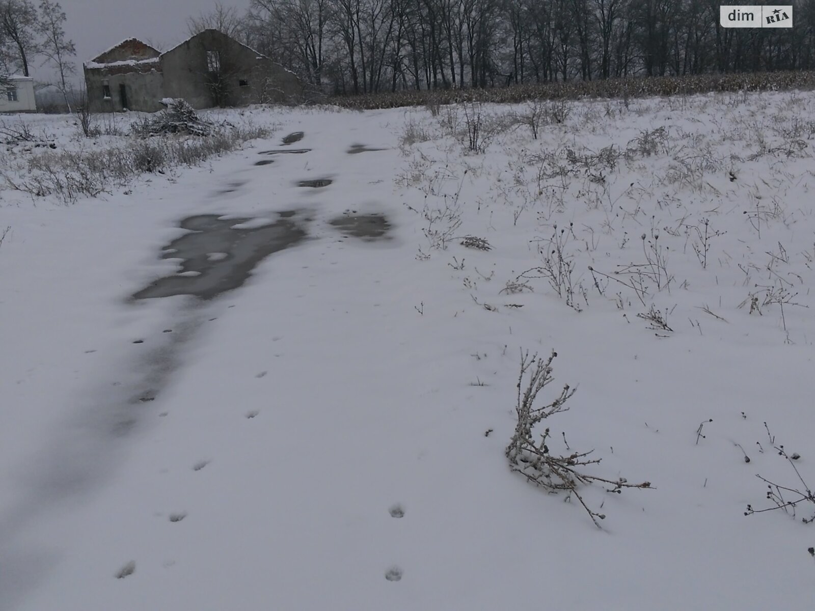 Земельна ділянка комерційного призначення в Іванівці, площа 1 Га фото 1