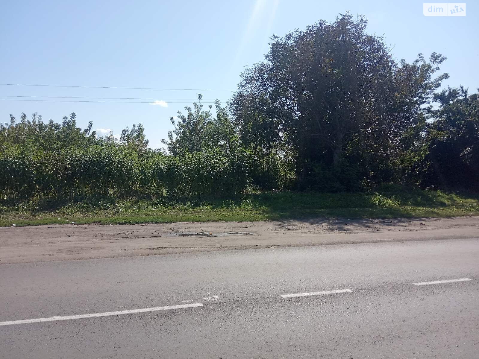 Земельна ділянка комерційного призначення в Жвирці, площа 0.0074 Га фото 1