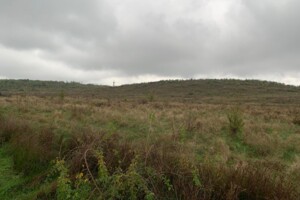 Земельный участок коммерческого назначения в Каменском, площадь 0.9 Га фото 1 Земельный участок коммерческого назначения в Каменском, площадь 0.9 Га фото 1