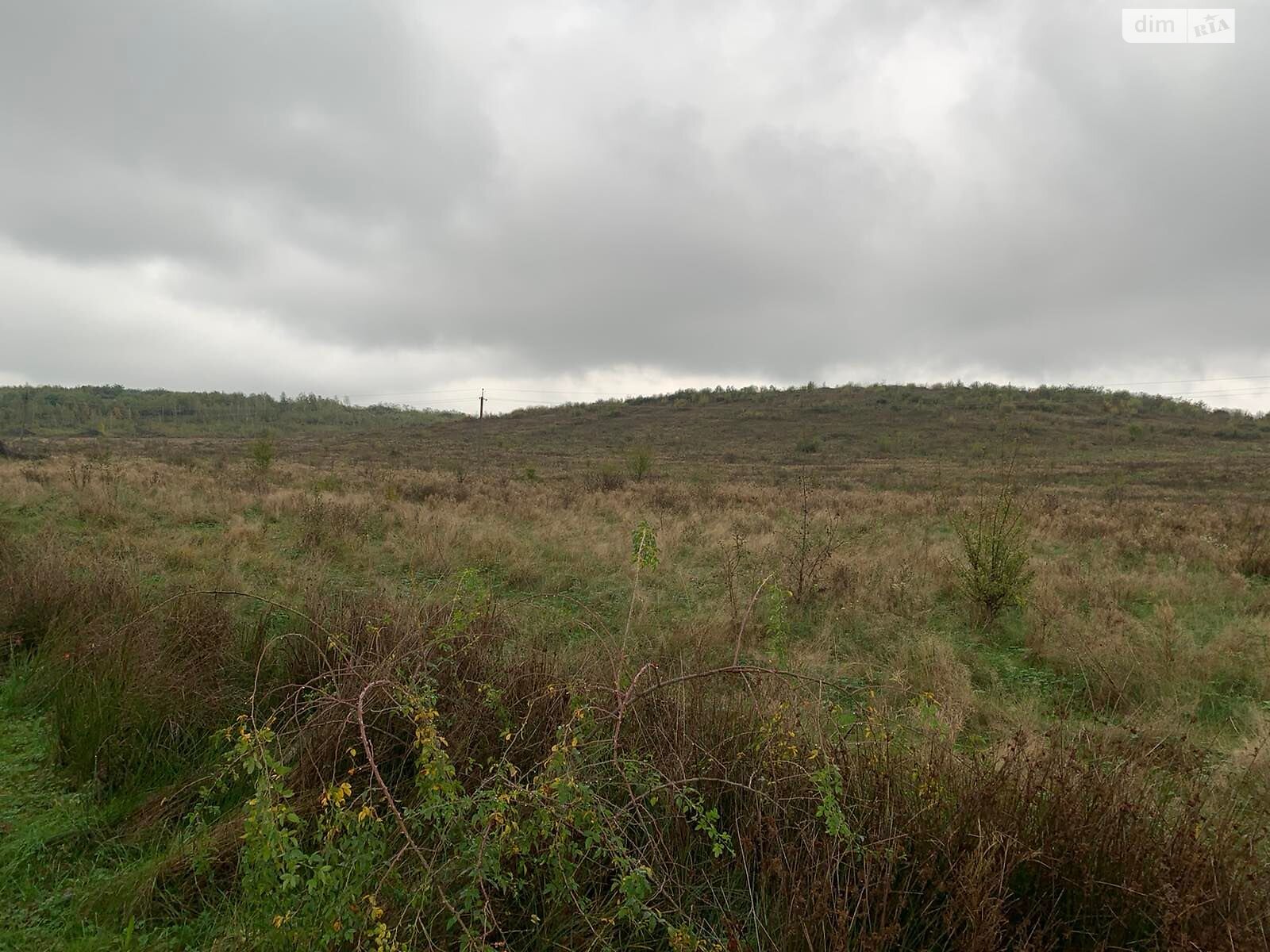 Земельный участок коммерческого назначения в Каменском, площадь 0.9 Га фото 1 Земельный участок коммерческого назначения в Каменском, площадь 0.9 Га фото 1