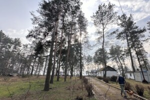 Земля комерційного призначення в Кам’янському, район Лівий берег, площа 1 Га фото 2