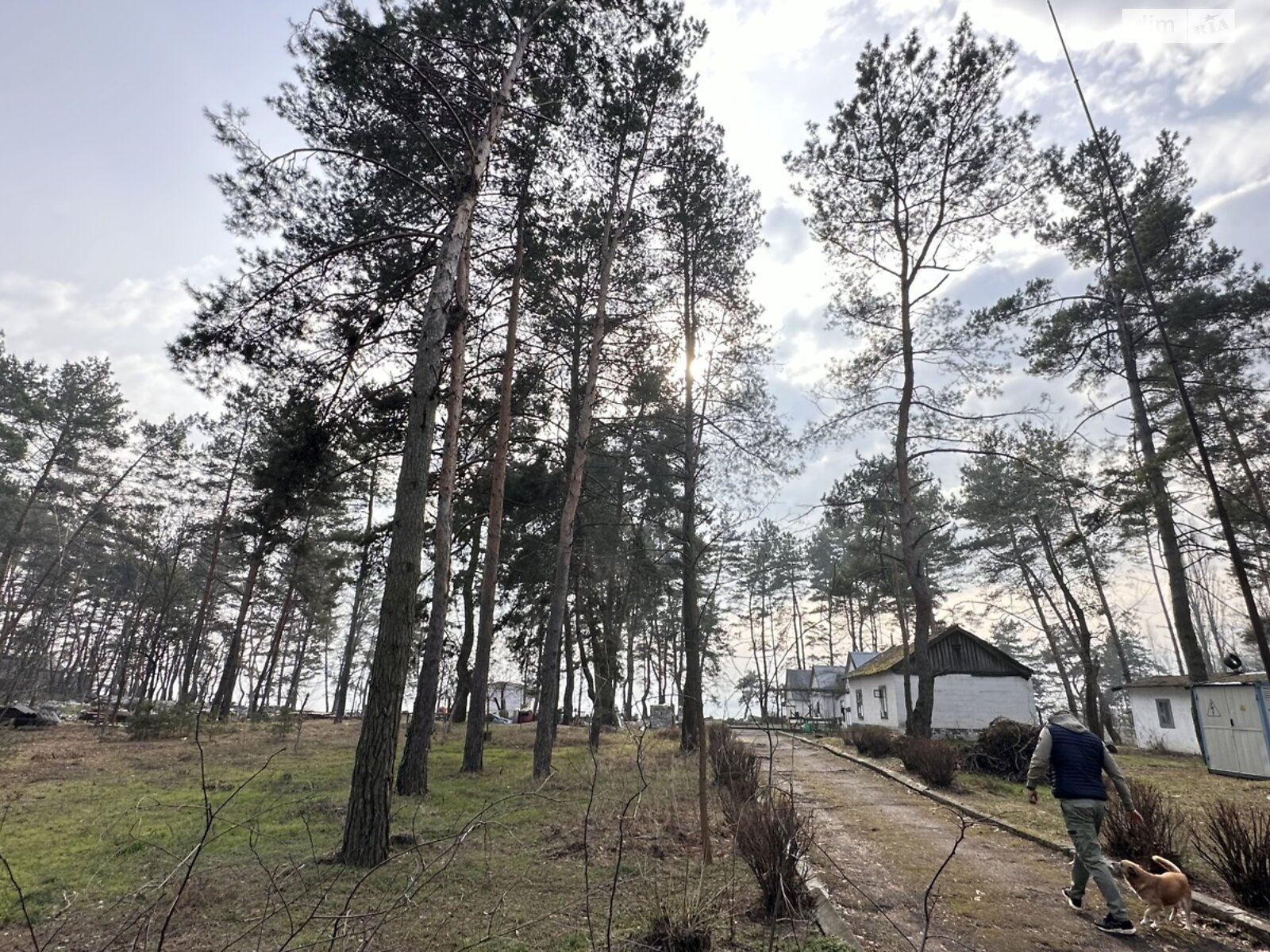 Земля коммерческого назначения в Каменском, район Левый берег, площадь 2 Га фото 1