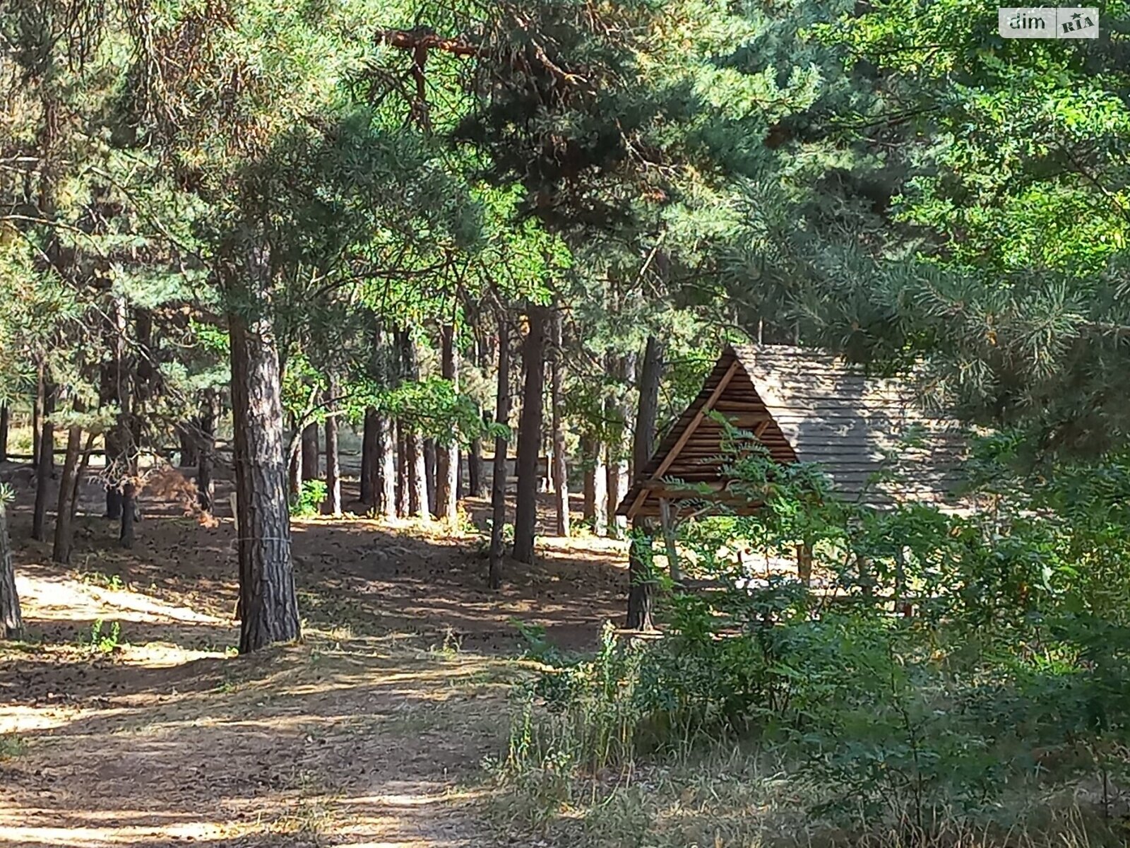 Земля коммерческого назначения в Каневе, район Канев, площадь 760 соток фото 1
