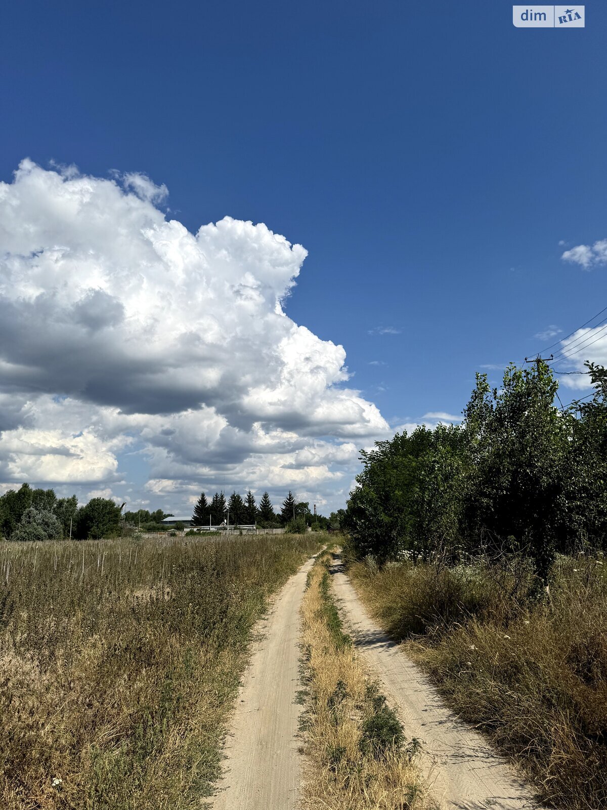 Земля коммерческого назначения в Каневе, район Канев, площадь 3 Га фото 1