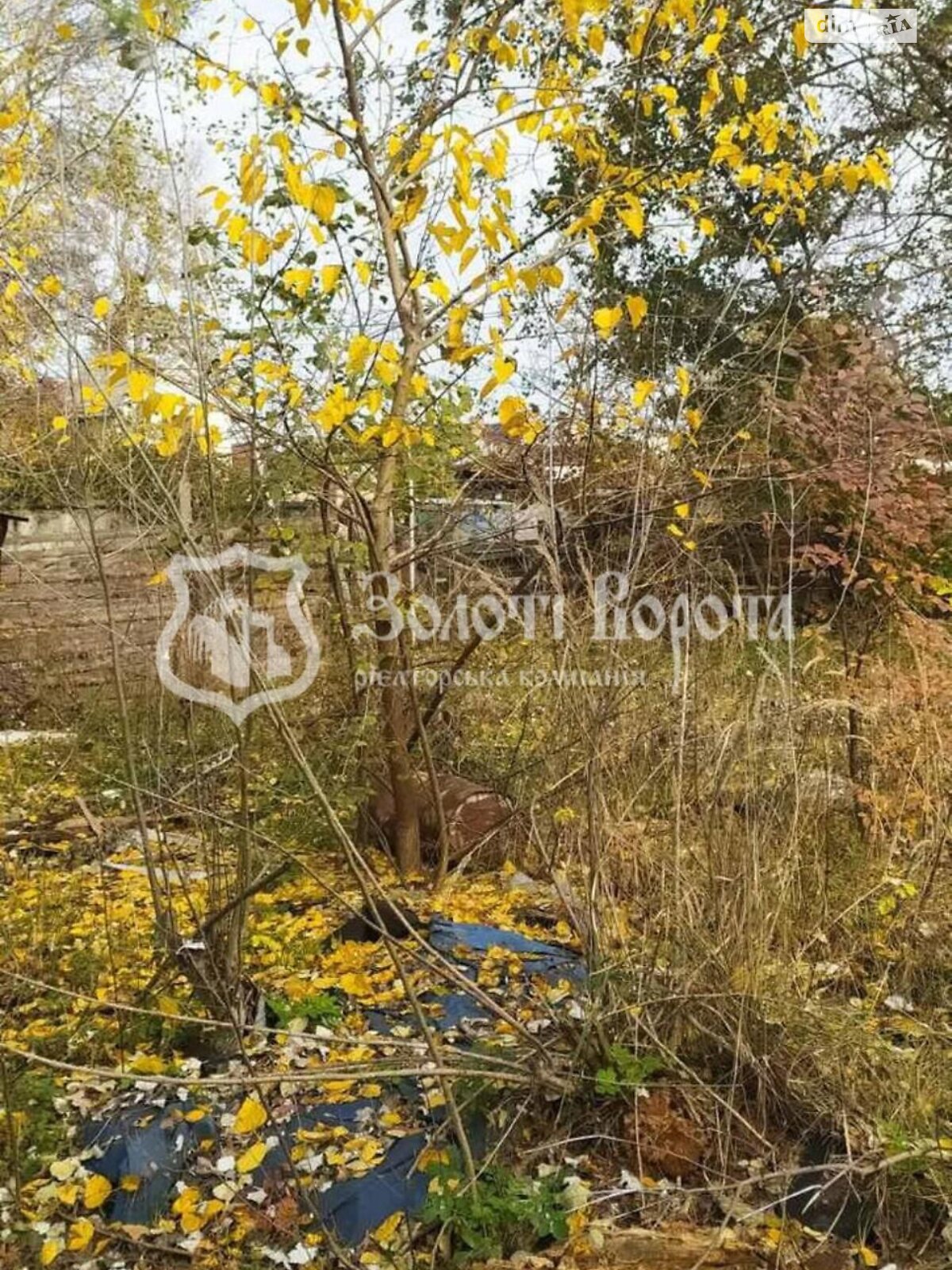 Земля комерційного призначення в Києві, район Дніпровський, площа 8.25 сотки фото 1