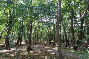 Земля коммерческого назначения в Киеве, район Сырец, площадь 10 соток фото 2 Земля коммерческого назначения в Киеве, район Сырец, площадь 10 соток фото 2