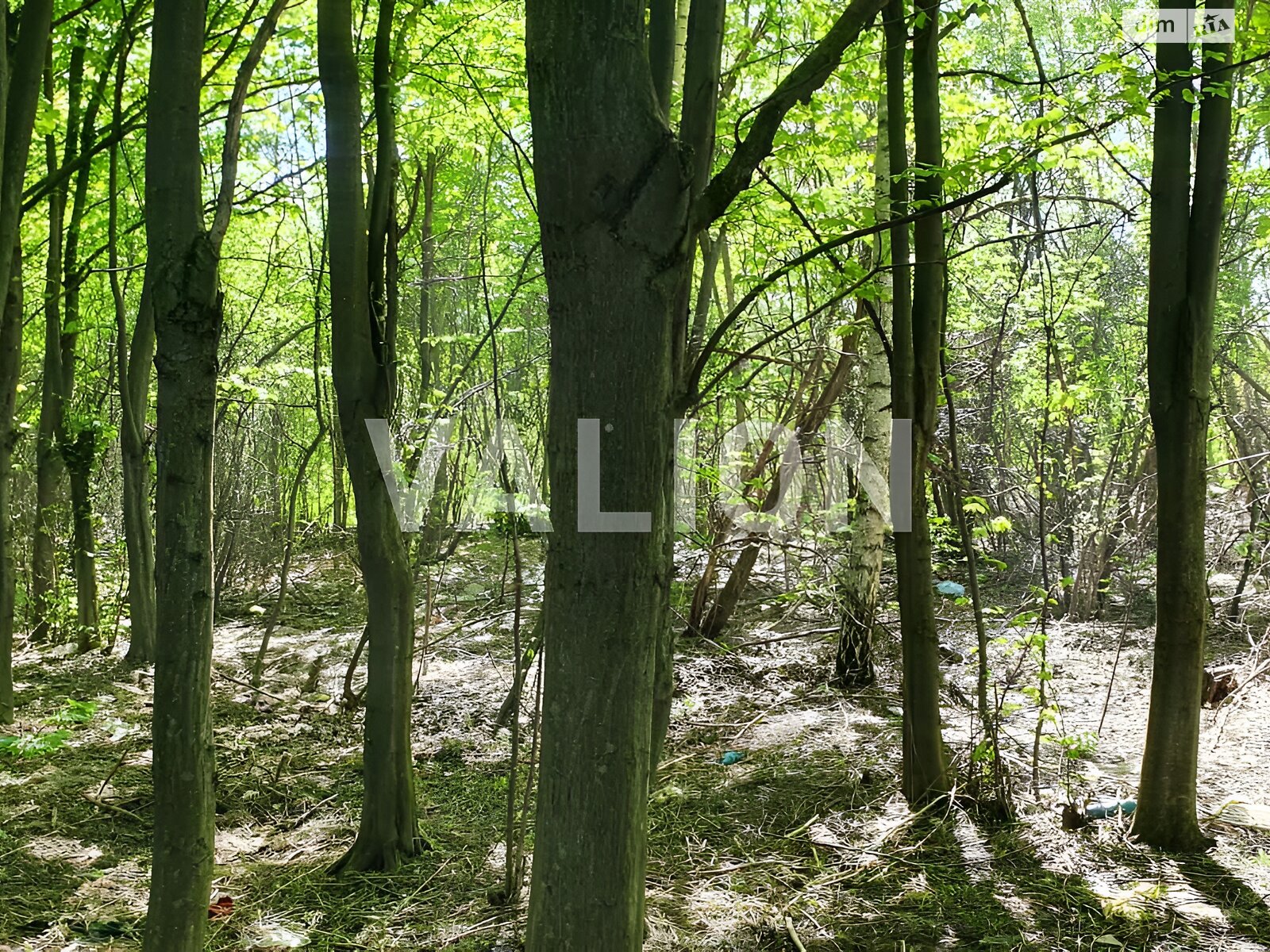 Земля комерційного призначення в Києві, район Теремки-1, площа 30 соток фото 1 Земля комерційного призначення в Києві, район Теремки-1, площа 30 соток фото 1