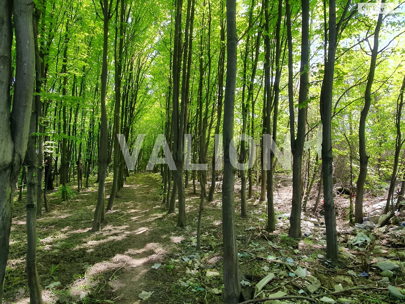 Земля комерційного призначення в Києві, район Теремки-1, площа 30 соток фото 1 Земля комерційного призначення в Києві, район Теремки-1, площа 30 соток фото 1