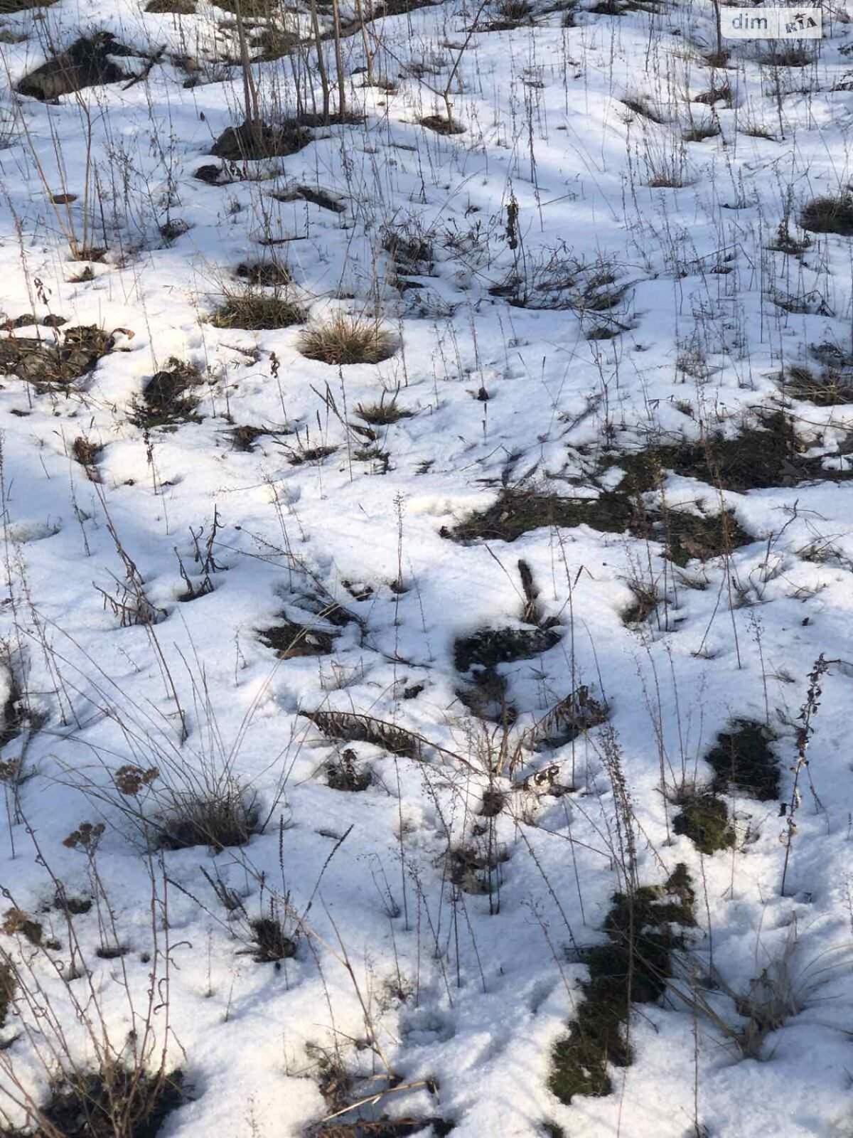 Земля комерційного призначення в Києві, район Виноградар, площа 8 соток фото 1