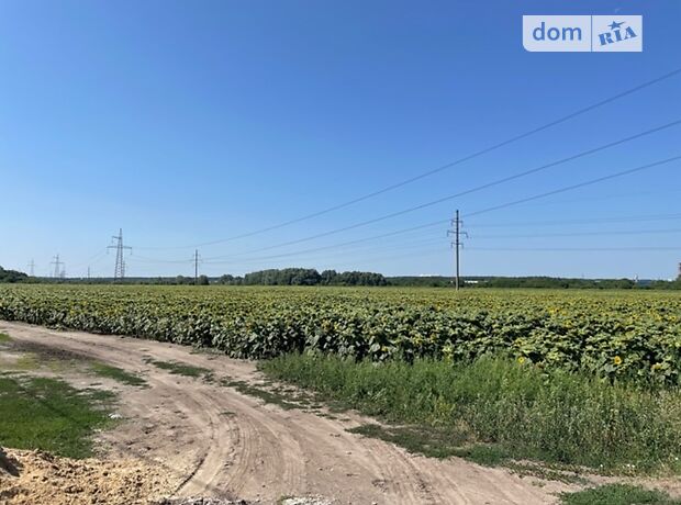 Земля коммерческого назначения в селе Горенка, площадь 170 соток фото 1 Земля коммерческого назначения в селе Горенка, площадь 170 соток фото 1