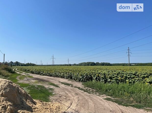 Земля коммерческого назначения в селе Горенка, площадь 170 соток фото 1 Земля коммерческого назначения в селе Горенка, площадь 170 соток фото 1