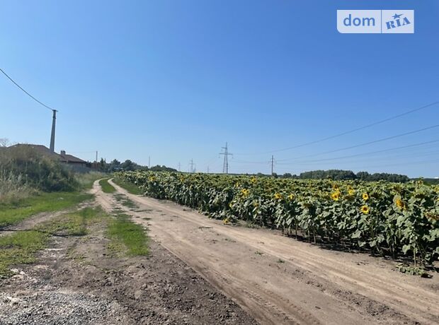 Земля коммерческого назначения в селе Горенка, площадь 170 соток фото 1 Земля коммерческого назначения в селе Горенка, площадь 170 соток фото 1
