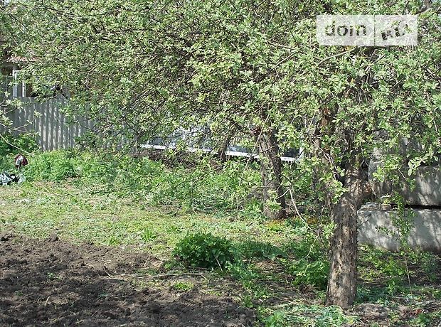 Земля коммерческого назначения в селе Петровское (нов. Святопетровское), площадь 200 соток фото 2 Земля коммерческого назначения в селе Петровское (нов. Святопетровское), площадь 200 соток фото 2