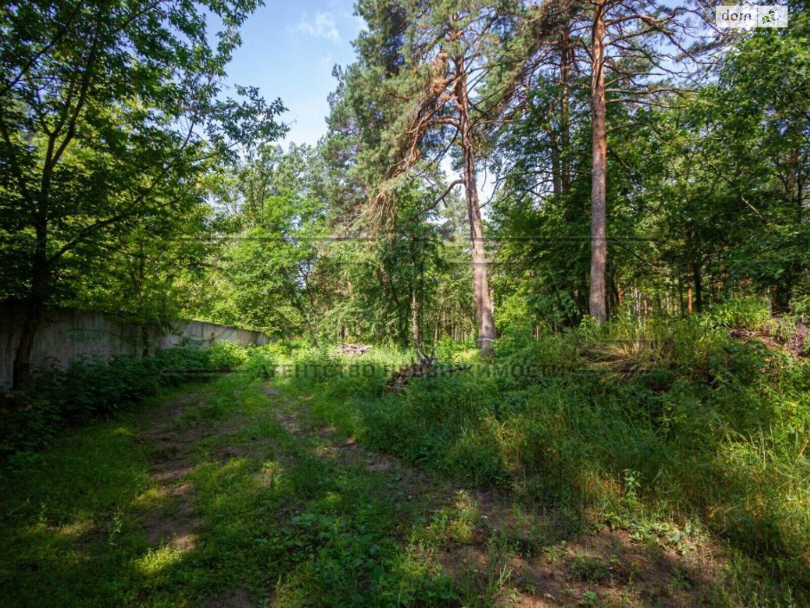 Земельна ділянка комерційного призначення в Стоянці, площа 9.6 Га фото 1