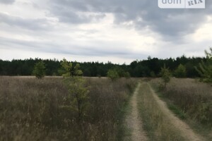Земельна ділянка комерційного призначення в Кмитовому, площа 2 Га фото 2