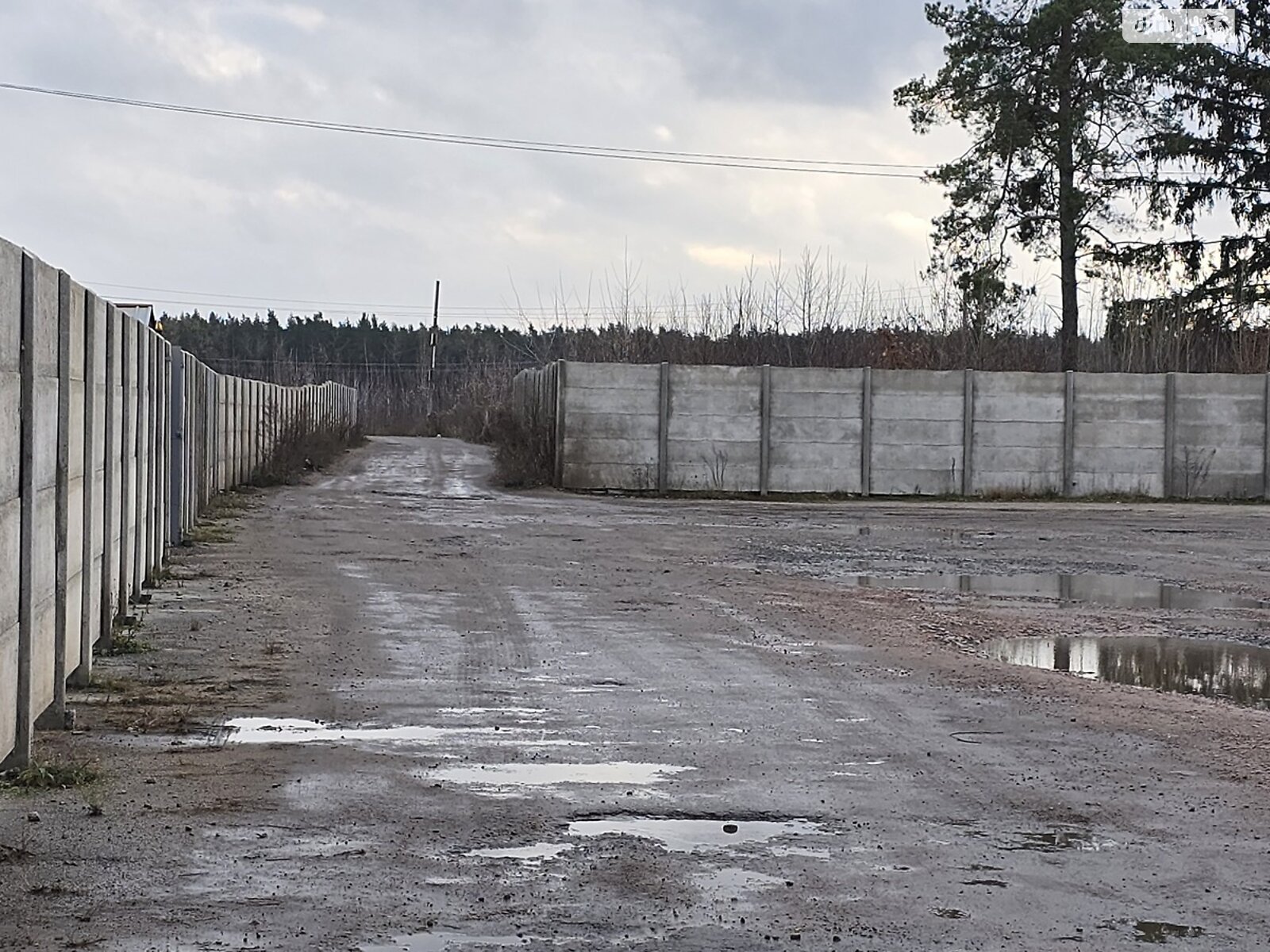 Земля коммерческого назначения в Коростышеве, район Коростышев, площадь 30 соток фото 1