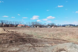 Земельна ділянка комерційного призначення в Крюківщині, площа 182 сотки фото 2
