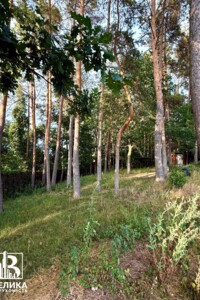 Земельный участок коммерческого назначения в Крюковщине, площадь 5.8 сотки фото 2 Земельный участок коммерческого назначения в Крюковщине, площадь 5.8 сотки фото 2