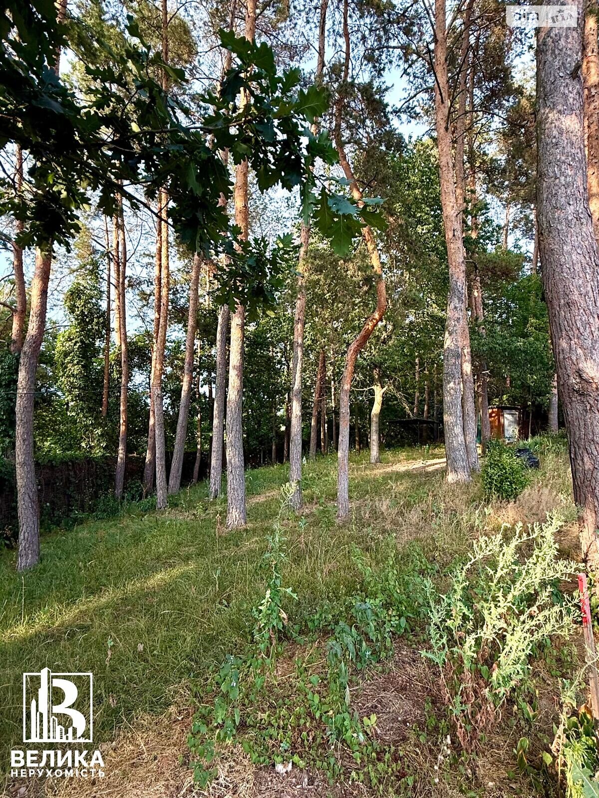 Земельный участок коммерческого назначения в Крюковщине, площадь 5.8 сотки фото 1 Земельный участок коммерческого назначения в Крюковщине, площадь 5.8 сотки фото 1